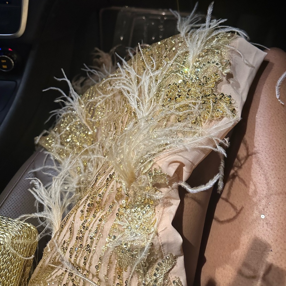 Gold prom dress (whamacallit)